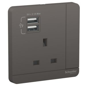 Schneider Electric - 施耐德電氣 - AvatarOn 奐尚 13A 單位有掣電源插座連雙位USB充電插座 (石墨灰) E8315USB_DG_C5