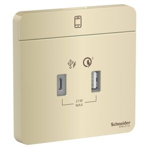 Schneider Electric - 施耐德電氣 - AvatarOn 奐尚 兩位 21W Type A+C, PD+Quick Charger3.0 USB充電插座 (沉醉金) E8332ACQUSB_WG_C5